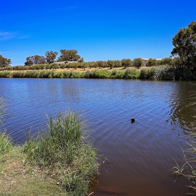 Mallokup Bridge on the Capel River Image