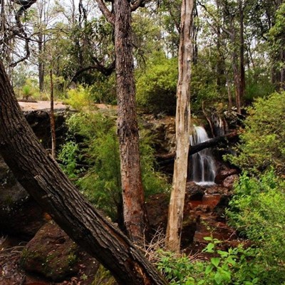 Ironstone Gully Falls Image