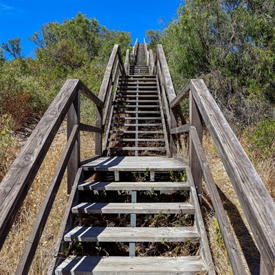 Image Staircase to Peppermint Grove Beach