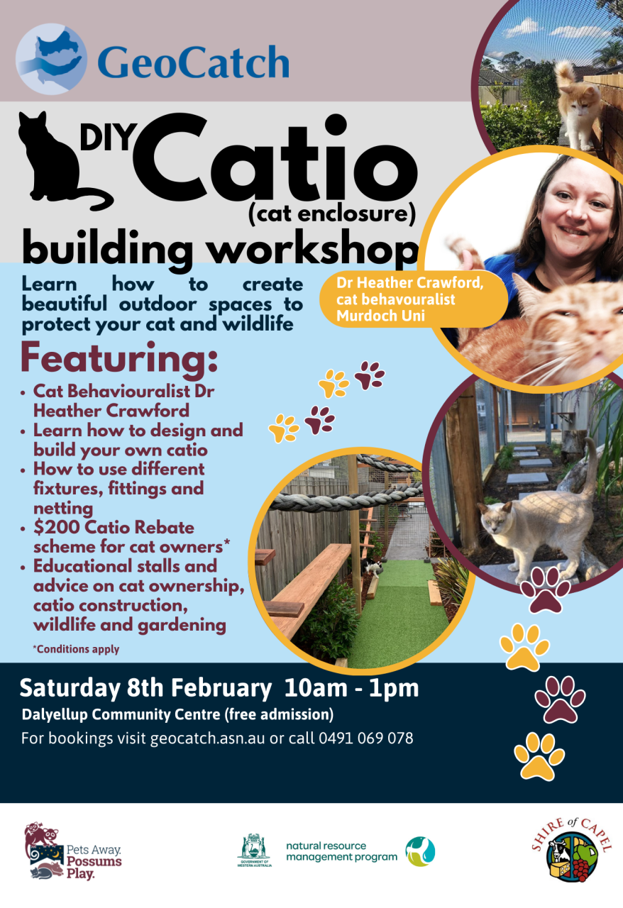 DIY Catio Workshop