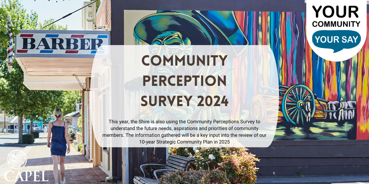 Strategic Community Plan Review - Your Community, Your Say