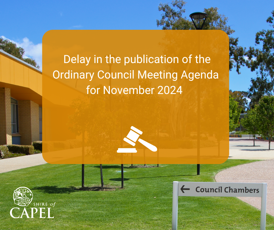 Delay in publishing the November 2024 Ordinary Council Meeting Agenda