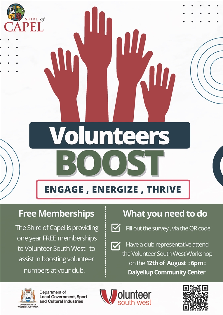 Volunteer Boost Flyer (004)_Page_1